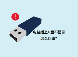 电脑上U盘不显示如何处理