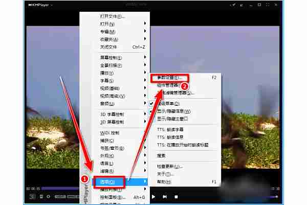 kmplayer plus怎么调整字幕?kmplayer plus调整字幕的操作步骤
