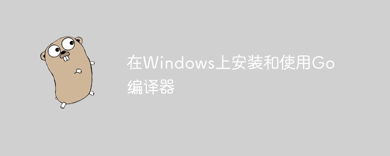 在Windows上安装和使用Go编译器