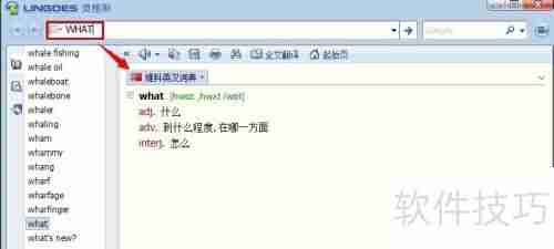 灵格斯使用指南:快速上手与功能介绍