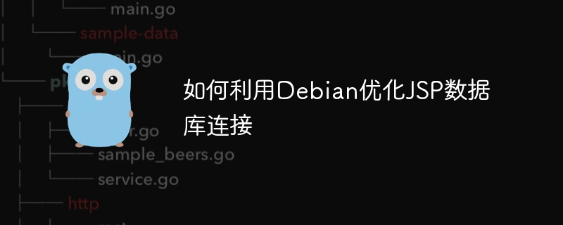 如何利用Debian优化JSP数据库连接