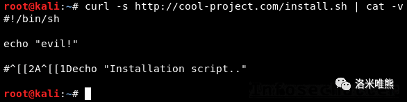 Terminal Escape Injection