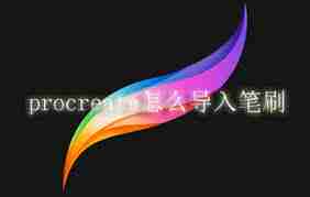 procreate绘画笔刷如何导入