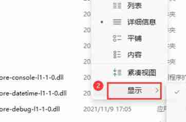 Win11如何展示文件扩展名?Win11展示文件扩展名的方法
