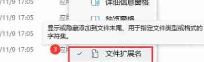 Win11如何展示文件扩展名?Win11展示文件扩展名的方法