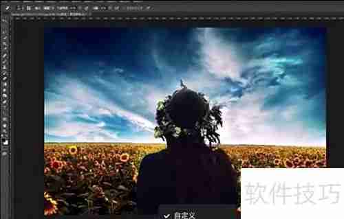 Topaz Remask安装使用指南