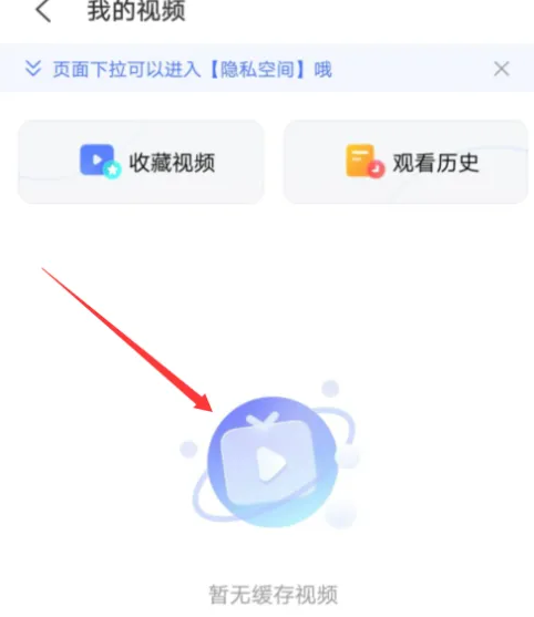 vivo浏览器怎么进入隐私空间 vivo浏览器进入隐私空间方法介绍