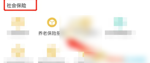 四川人社app如何办理申请养老保险延期 四川人社暂停养老保险方法