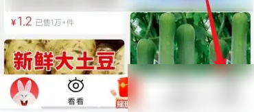 淘特app怎么联系 淘特APP联系客服方法介绍