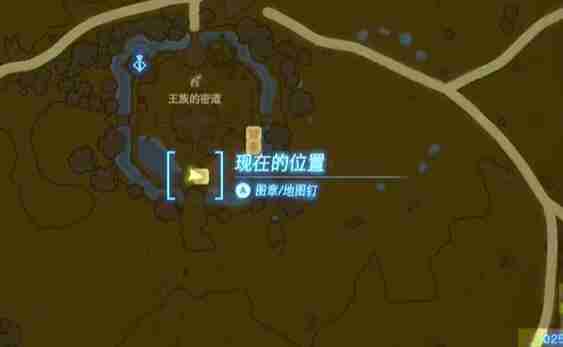塞尔达中央海拉鲁马儿去向何方怎么过-迷你挑战马儿去向何方攻略