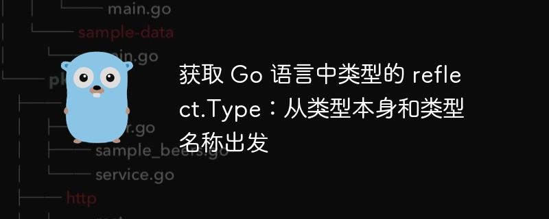 获取 Go 语言中类型的 reflect.Type:从类型本身和类型名称出发