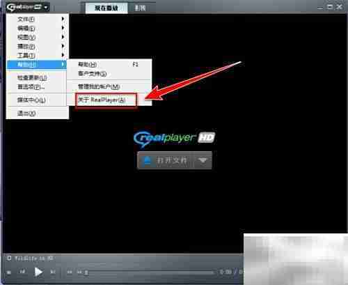如何检查RealPlayer版本更新