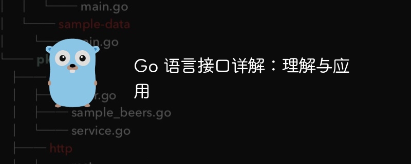 Go 语言接口详解:理解与应用