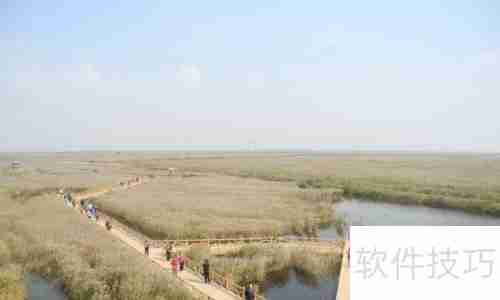 黄河口生态旅游区:探索自然之美与野生禽鸟的天堂