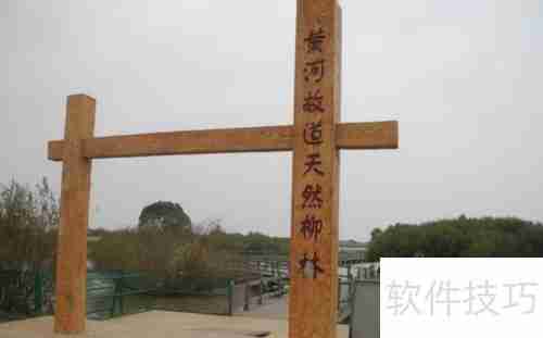 黄河口生态旅游区:探索自然之美与野生禽鸟的天堂