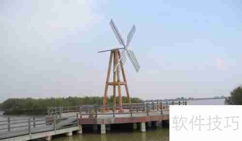黄河口生态旅游区:探索自然之美与野生禽鸟的天堂