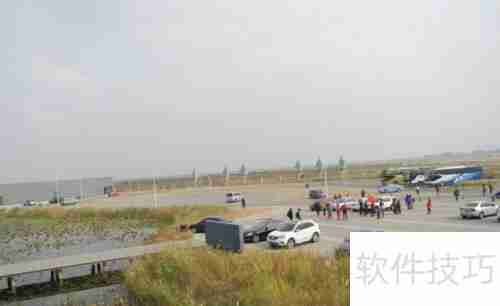 黄河口生态旅游区:探索自然之美与野生禽鸟的天堂