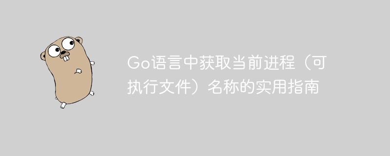 Go语言中获取当前进程(可执行文件)名称的实用指南
