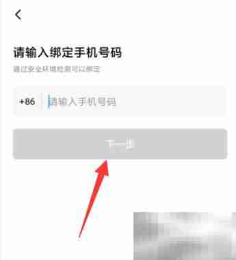 Earth元地球APP手机号绑定指南