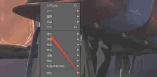 potplayer怎么添加书签-potplayer添加书签的方法