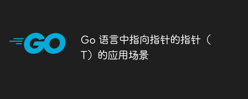 Go 语言中指向指针的指针(T)的应用场景