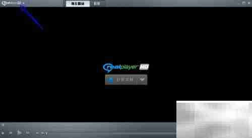 RealPlayer关闭Cookies方法