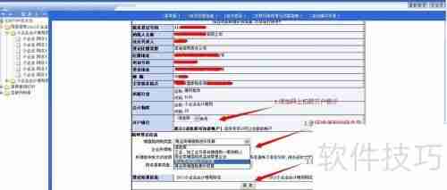 网上申报系统使用前的相关设置与注意事项