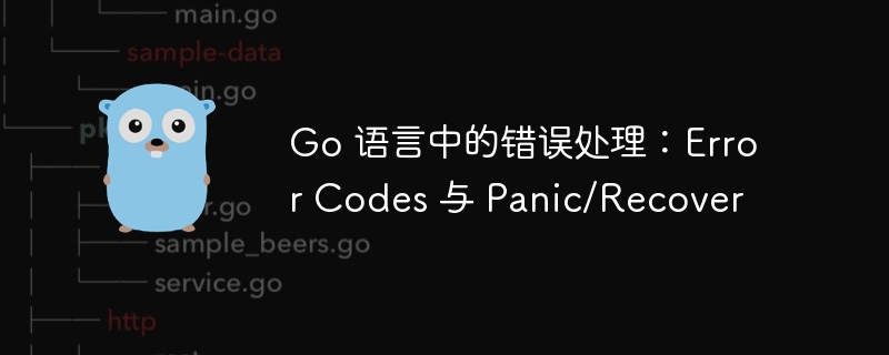 Go 语言中的错误处理：Error Codes 与 Panic/Recover