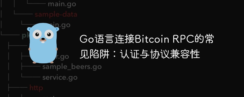 Go语言连接Bitcoin RPC的常见陷阱:认证与协议兼容性