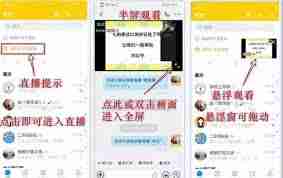 钉钉上网课时老师能看到学生吗