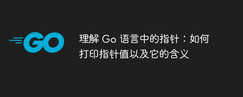 理解 Go 语言中的指针:如何打印指针值以及它的含义