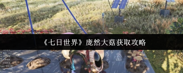 七日世界庞然大菇怎么获取 七日世界庞然大菇获取攻略