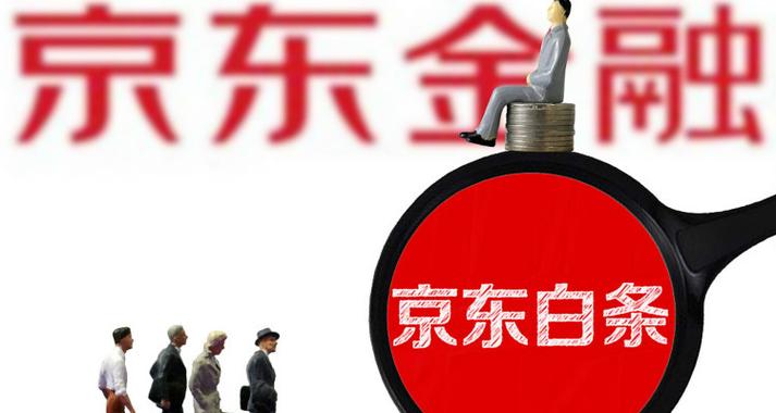 京东白条利息多少钱一天借了一万 京东白条日息计算