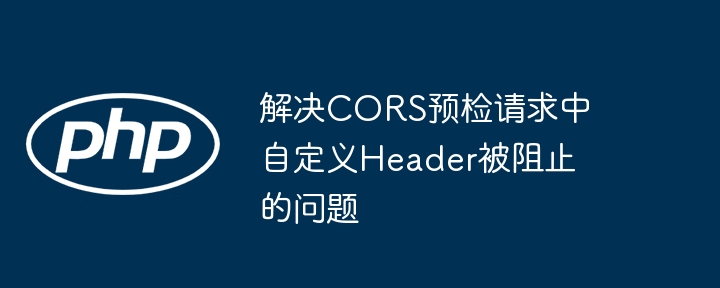 解决CORS预检请求中自定义Header被阻止的问题