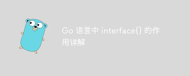 Go 语言中 interface{} 的作用详解