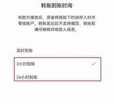 微信支付待入账是什么意思