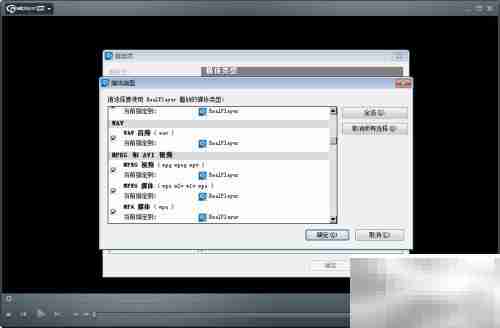 RealPlayer手动配置媒体类型