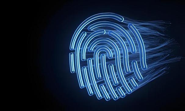 ads指纹浏览器收费标准是什么 广告专用版价格方案说明