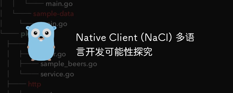 Native Client (NaCl) 多语言开发可能性探究