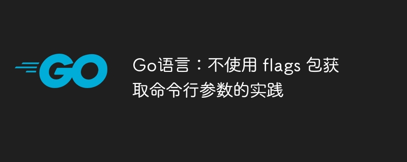 Go语言:不使用 flags 包获取命令行参数的实践