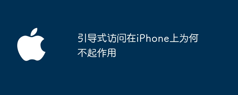 引导式访问在iPhone上为何不起作用