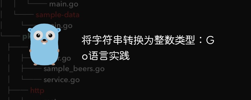 将字符串转换为整数类型:Go语言实践