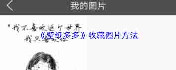 壁纸多多如何删除收藏