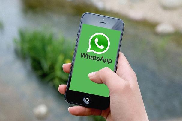 WhatsApp文件传输极速通道-WhatsApp文档共享中文官网教程