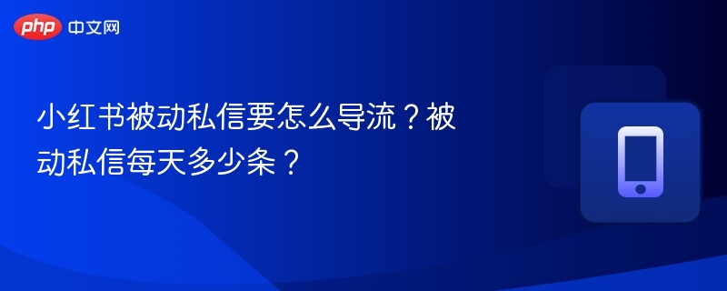 小红书被动私信要怎么导流?被动私信每天多少条?