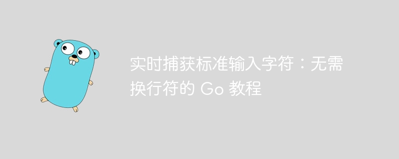 实时捕获标准输入字符：无需换行符的 Go 教程