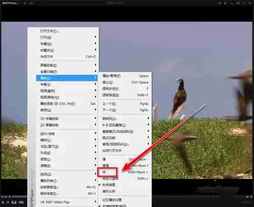 kmplayer plus怎么加速?kmplayer plus加速的方法