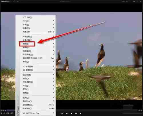 kmplayer plus怎么加速?kmplayer plus加速的方法