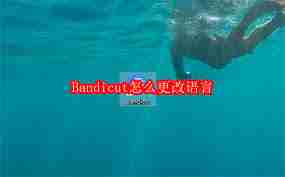 Bandicut如何更改语言