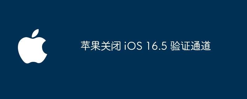 苹果关闭 iOS 16.5 验证通道
